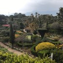 해금강보이지 이미지