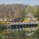 지곡천 산책로 이미지