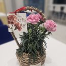 장성성모의원 이미지