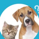 나무동물약국 이미지