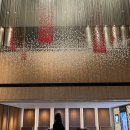 호텔아리오소 이미지