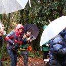 조안목장 이미지