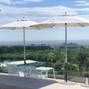 카페리베 이미지