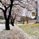 삼태산 문화센터 | 소선암 자연 휴양림 고수동굴 숲속의집 충북 단양 단성 소백산 숙소 추천 후기 _ 잘잤당~근 _