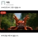 아지나라 이미지