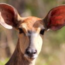 칼럼 쓰기 이미지