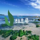 암스트롱요양병원 이미지