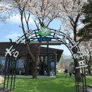 참나무숯불구이 | 닭갈비 맛집 / 맥반석에 구워 먹는 닭갈비 / 참나무 숯불닭갈비 내돈내산 추천 후기(주차⭕ 예약⭕ 포장⭕)