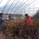 해피팜농장 이미지