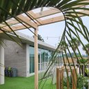 제주풍경하우스 | 창밖 풍경이 마음을 채우는 제주감귤체험 에이지하우스 후기.