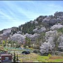 꽃동산