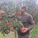 이례농장 이미지