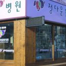 정다운 동물종합병원 이미지