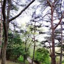 은산한방병원 이미지