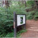 구룡폭포농로 이미지