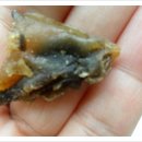 굴이야기 이미지