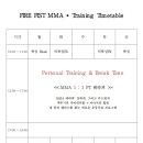 파이어피스트 MMA 이미지