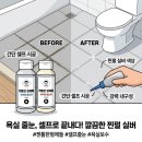 찐퍼 | 욕실 줄눈, 업체 부르기 전에 이거 먼저 써봤어요｜젠틀한형제들 찐펄 실버 바닥용 보수제 후기