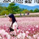 담터펜션 이미지