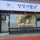멍멍이발소 이미지