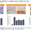 전신진동운동 [WBV]의 효과를 확인하는 학술자료 사진 이미지