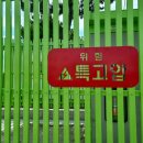 &lt;1년 만에 만난 아이들 - 은방울 동창회 후기&gt;