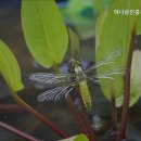 뉴힐스자이공인중개사사무소 이미지