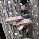 귀산농장 이미지