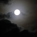 가야금 (A) 이미지