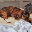 서울선(SUN)치과병원 이미지