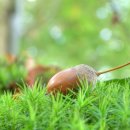 도토리한의원 이미지