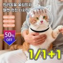 펫캡 쇼핑하우