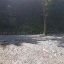 피노키오 자연휴양림 야영장 이미지