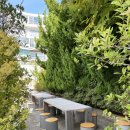 오디너리핏 이미지