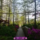 도안린풀하우스아파트경로당 이미지