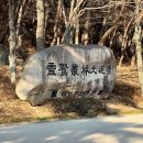 신라종합정비 | 경남 사찰 양산 ‘통도사’ 주차 세계문화유산