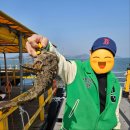 수평선좌대 | 자연식좌대낚시 자연식 힐링 낚시터