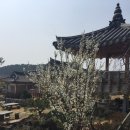 서귀포한옥펜션 남극노인성휴양펜션에서 여유로운 제주 즐기고 왔어요!