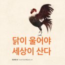 송도푸드시스템 천지산업지점 | <119호> 닭이 울어야 세상이 산다_편집위원 녕