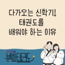 별하태권도장 - 평택시 지산천로 34-12 | 별하태권도장