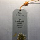천냥꽃