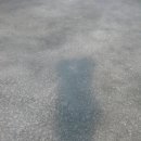 초정낚시터 이미지