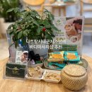 스파 라 스파(Spa la Spa) | 내돈내산나트랑마사지샵추천) 가성비좋은 나트랑로컬마사지샵 "라스파La Spa"추천/솔직후기
