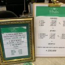 비비테일러 이미지