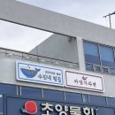바닷가라면 맛집인줄 알았는데 물회 존맛도리 강릉 <수진네횟집>