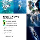창원프리다이빙 강습센터 부산북항마리나 다이빙풀 강습후기 !![화이트프리다이빙]