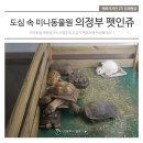 서정대학교부설애완동물센터펫인쥬 | 다양한 반려동물을 체험하는 도심속 미니동물원 의정부 '펫인쥬'