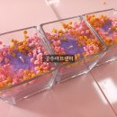 세종양초