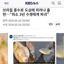 인터넷 신문 댓글창에 올린 글 (강물 범람과 식인 물고기 피라냐) 이미지