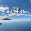 에메랄드빛 바다에 반해버린 날 🌊 제주 김녕해수욕장 후기